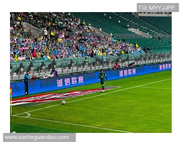 足球明星黑人6号的传奇旅程与场上风采解析